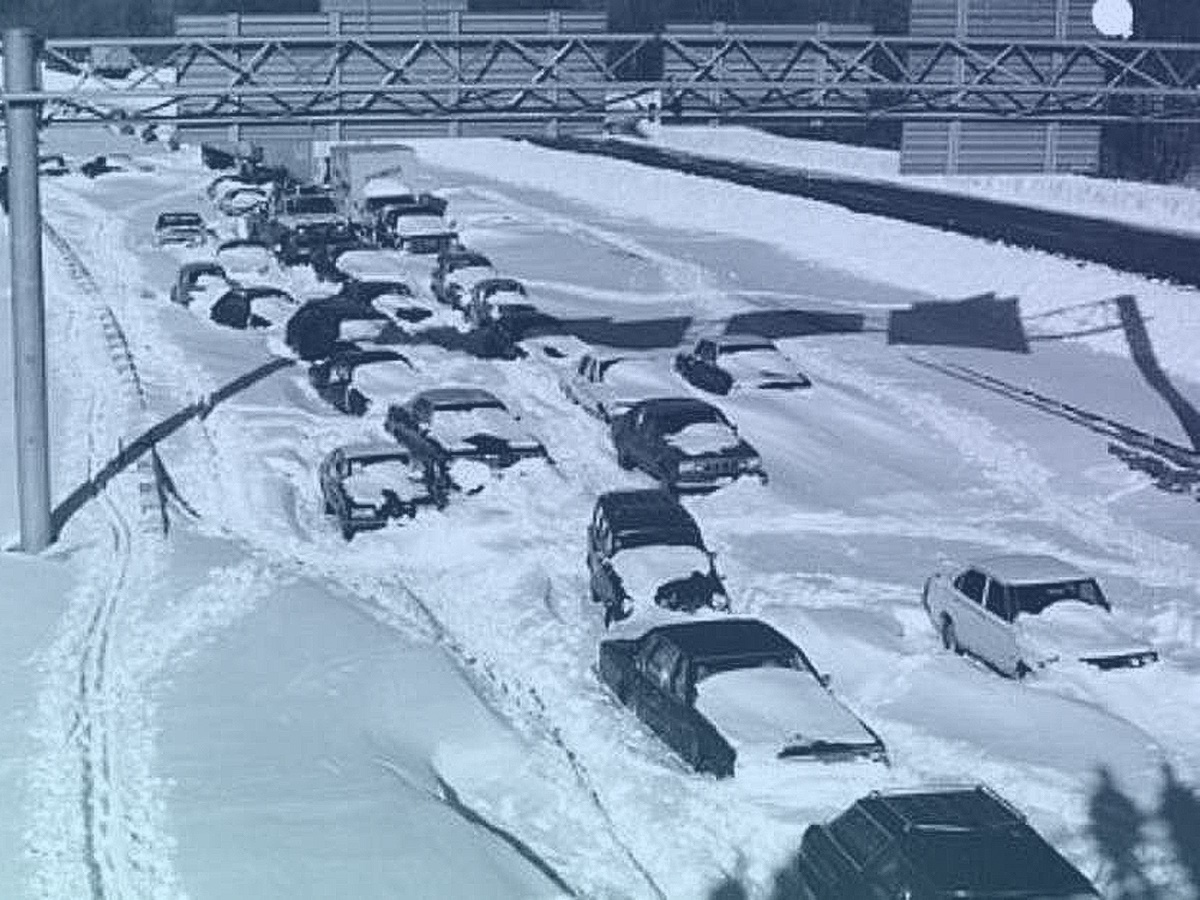 Special Blizzard of ’78 show now available for Solid Gold Members!